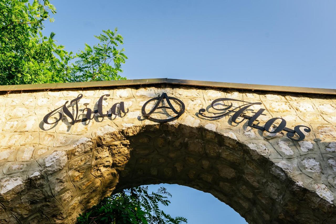 Atos Srebrno Jezero - Villa And Restaurant Veliko Gradište Buitenkant foto